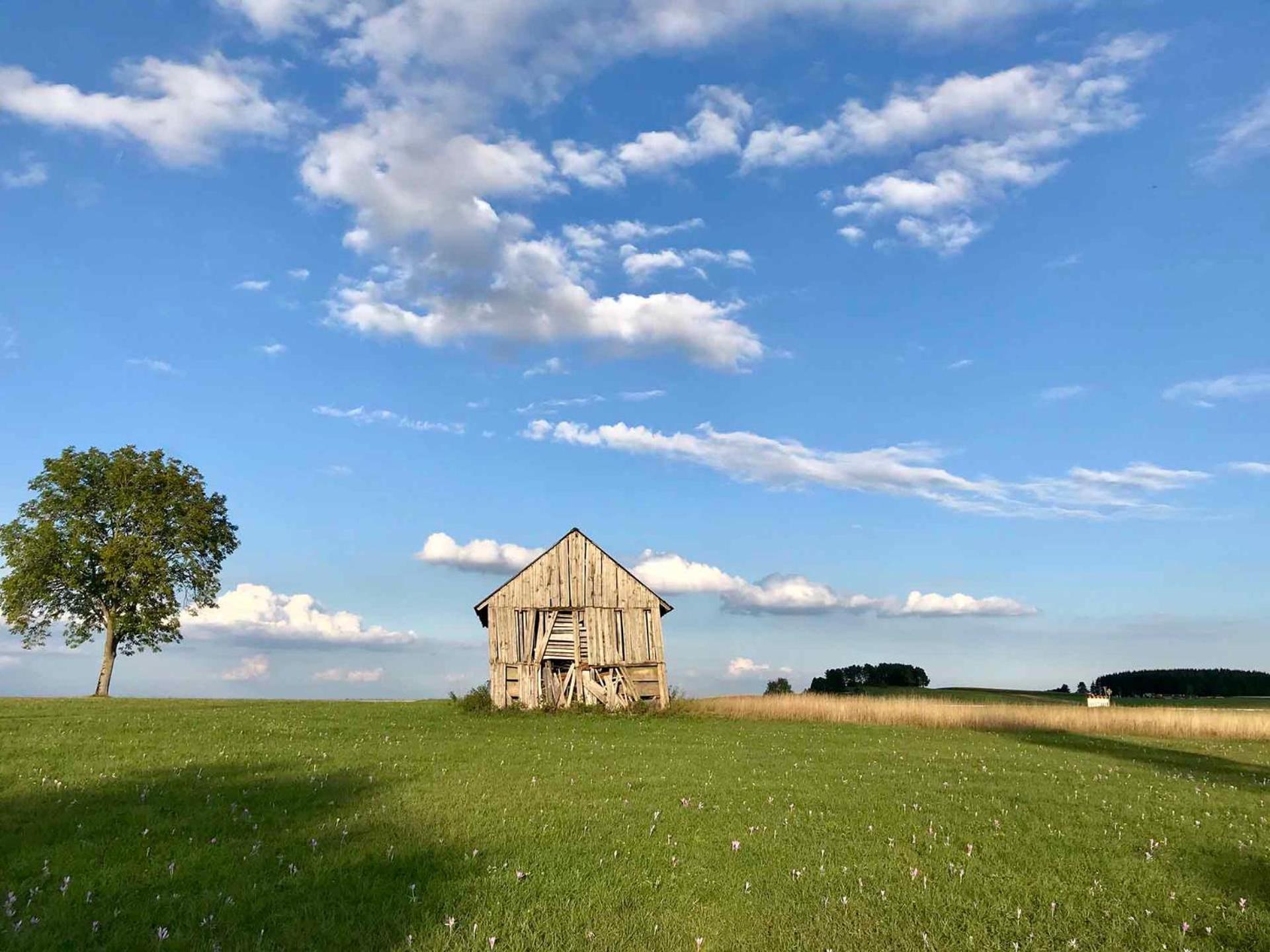 Gaestehaus Roessle Rötenbach Eksteriør bilde